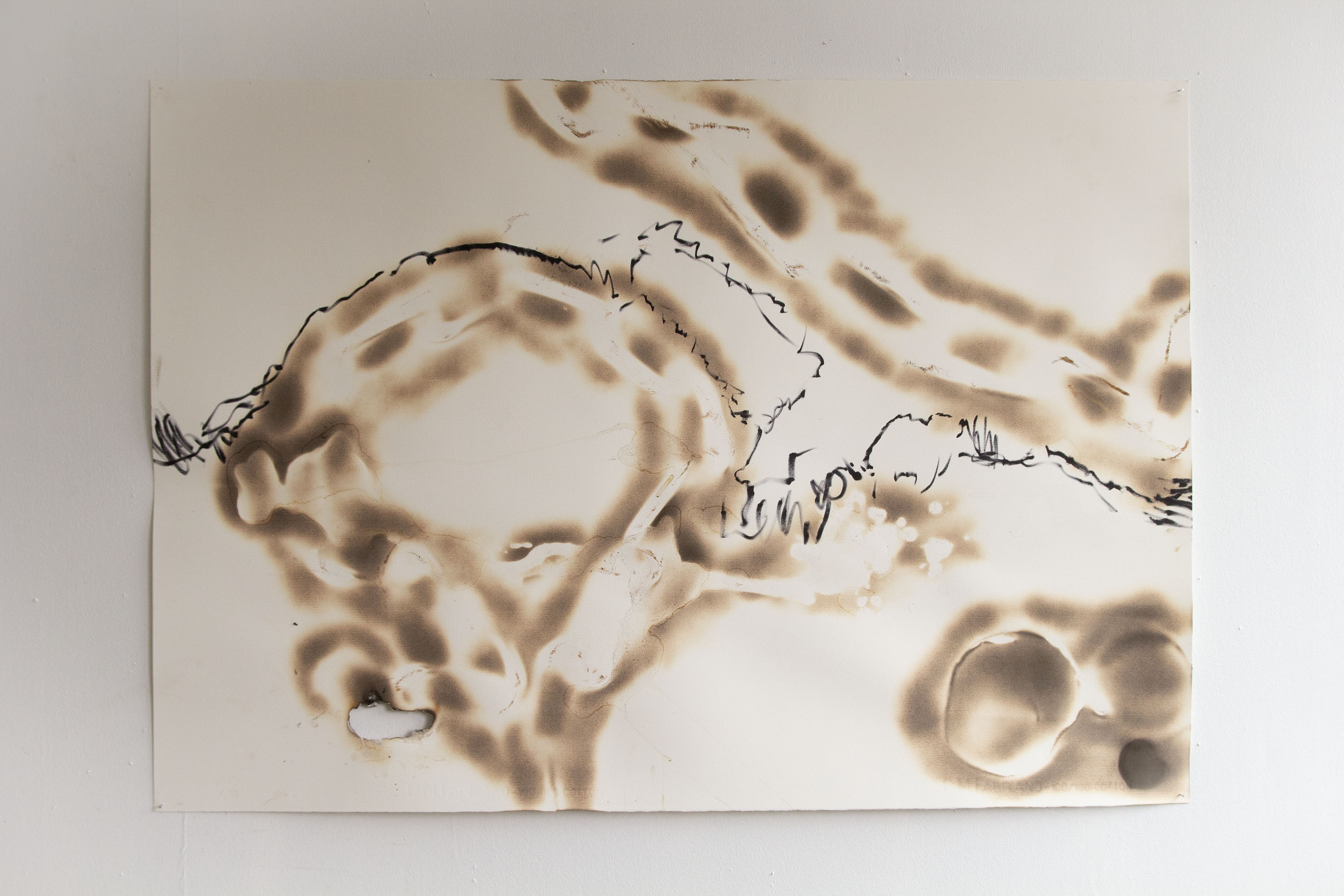 BURNT DRAWINGS